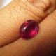 Oval Red Ruby 2.50 carat Untuk Cincin Exclusive