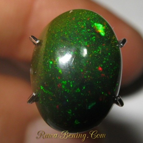 Batu Mulia Natural Black Opal Rintik Neon Green 2.50 carat