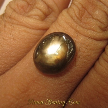 Jual Batu Cincin Semi Golden Black Star Sapphire 9.40 carat www.rawa-bening.com