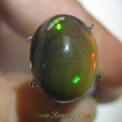 Brownish Green Black Opal 5.35 carat