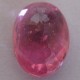 Batu Permata Ruby Pinkish Red Cantik 0.95 carat