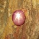 Batu Mulia Pinkish Red Star Ruby 4.68 carat