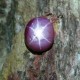 Batu Mulia Natural Pinkish Red Star Ruby 4.68 carat