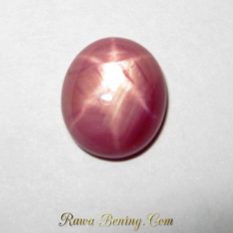 Natural Pinkish Red Star Ruby 4.68 carat