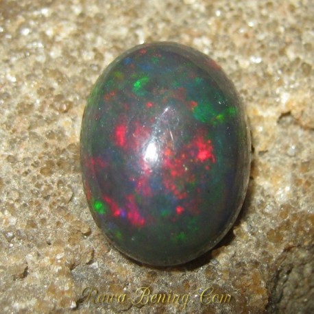 Batu Mulia Natural Black Opal Jarong Hijau Merah 2.95 carat
