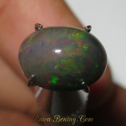 Black Opal Hutan Pelangi 1.75 carat