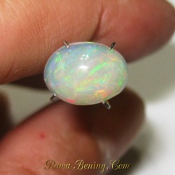 Opal Putih Hutan Pelangi 1.75 carat