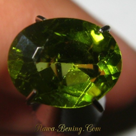 Batu Permata Natural Peridot Sparkling Green 1.90 carat