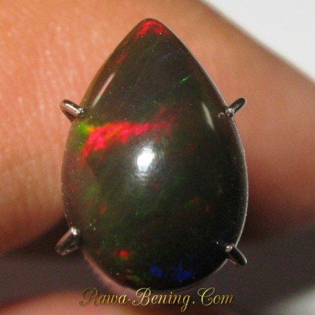 Harga Batu Mulia Natural Black Opal Pear RGB 1.45 carat www.rawa-bening.com