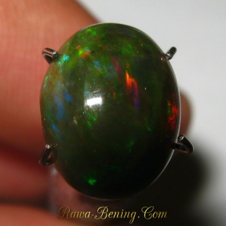 Batu Mulia Natural Black Opal dengan Luster Hutan Pelangi 2.20 carat dari www.rawa-bening.com