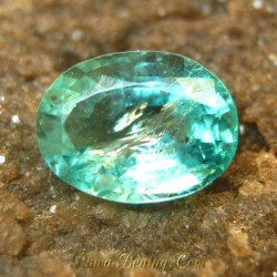 Memo Cek Keaslian Batu Mulia Emerald Exclusive Green 1.10 carat