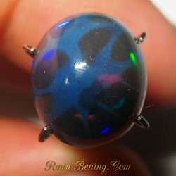 Natural Black Opal Spider Blue 2.90 carat