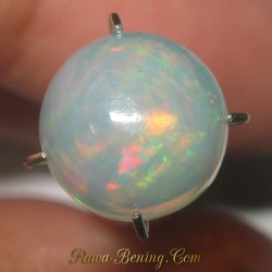 Natural Round Cab Opal Rainbow 1.70 carat