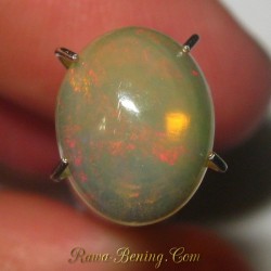 Opal Bening Polos 1.45 carat