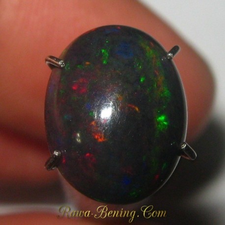 Natural Black Opal Jarong Neon 1.25 carat