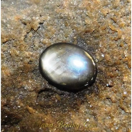 Batu Black Star Sapphire Pipih 1.26 Carat