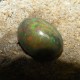 Batu Mulia Natural Black Opal Karang 3.10 Carat