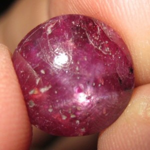 Batu Ruby Star Round Cabochon 12.15cts