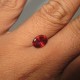 Almandite Garnet 2.43 carat luster merah berkerlip indah