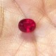 Natural Ruby Oval 1.56 carat Untuk Cincin Wanita Profesional