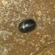 Natural Star Diopside 5.48 carat saingannya black star sapphire